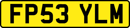 FP53YLM