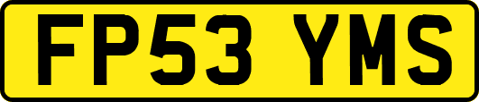 FP53YMS