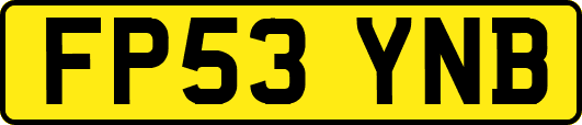 FP53YNB