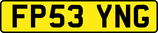 FP53YNG