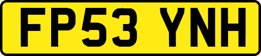 FP53YNH