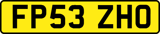FP53ZHO