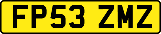 FP53ZMZ