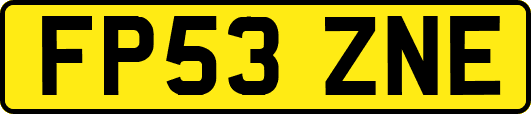 FP53ZNE