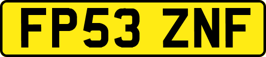FP53ZNF