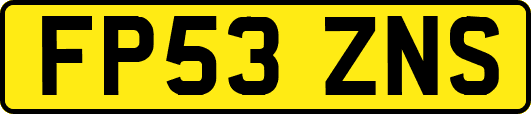 FP53ZNS