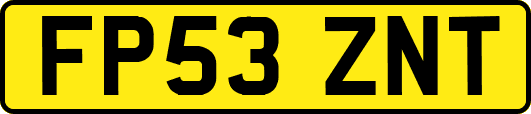 FP53ZNT