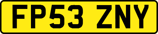 FP53ZNY