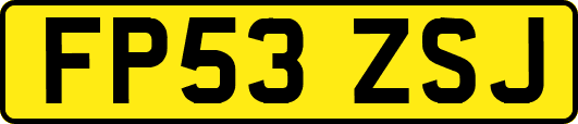 FP53ZSJ