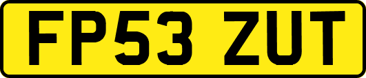 FP53ZUT