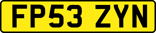 FP53ZYN