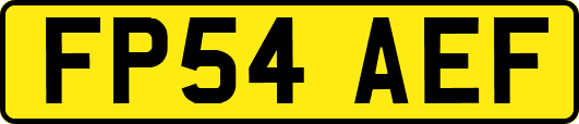FP54AEF