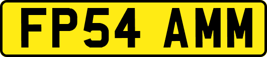 FP54AMM