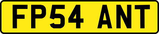 FP54ANT