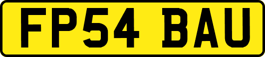 FP54BAU