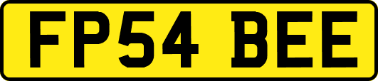 FP54BEE