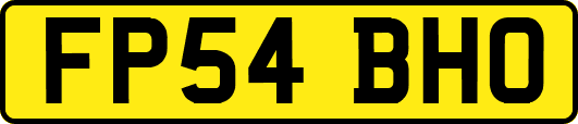 FP54BHO