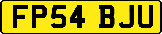 FP54BJU