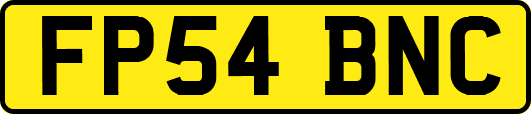 FP54BNC