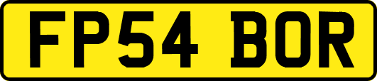 FP54BOR