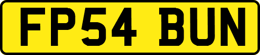 FP54BUN