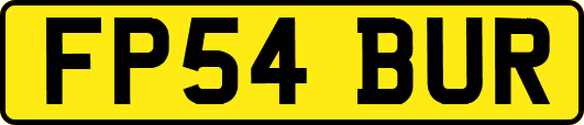 FP54BUR