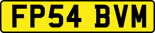FP54BVM