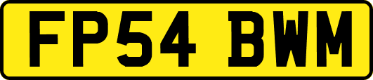 FP54BWM