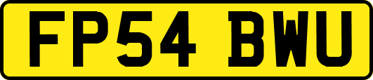 FP54BWU