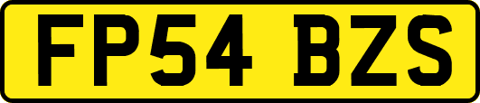 FP54BZS