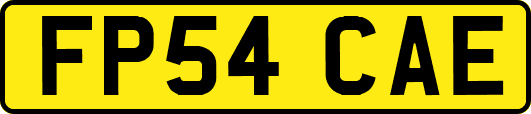FP54CAE