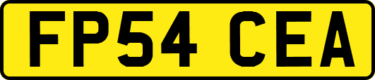 FP54CEA