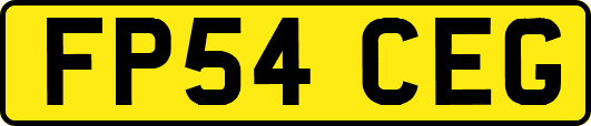 FP54CEG