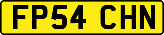 FP54CHN