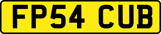 FP54CUB
