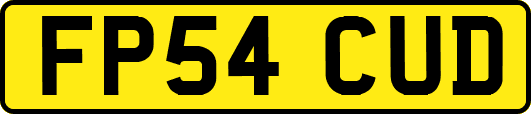 FP54CUD