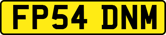 FP54DNM