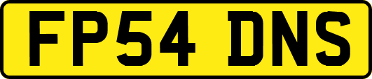 FP54DNS