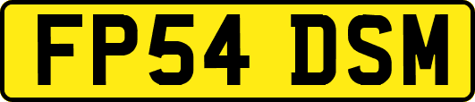 FP54DSM