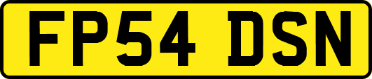 FP54DSN