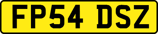 FP54DSZ