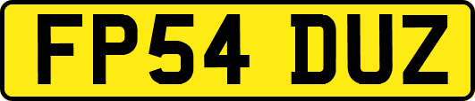 FP54DUZ