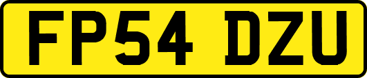FP54DZU