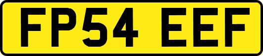 FP54EEF
