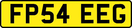 FP54EEG