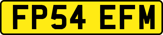FP54EFM