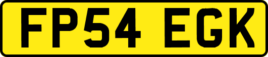 FP54EGK