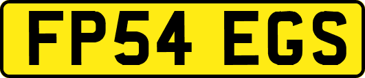 FP54EGS
