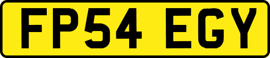 FP54EGY