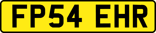 FP54EHR